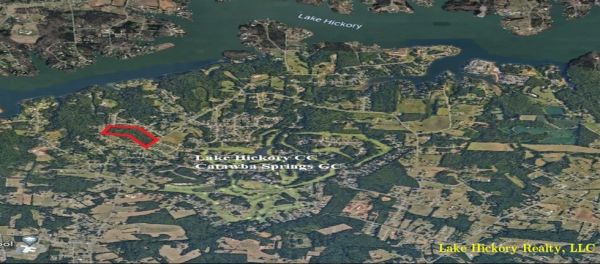 Lachlan Village Aerial Overview
